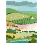 Country (500 pcs)